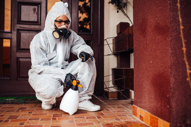 Reliable Cockroach Control contractor in Secaucus, NJ by Nex Pest Control